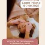 Manual Workshop: Advanced Practical Training in Facemdeling Program